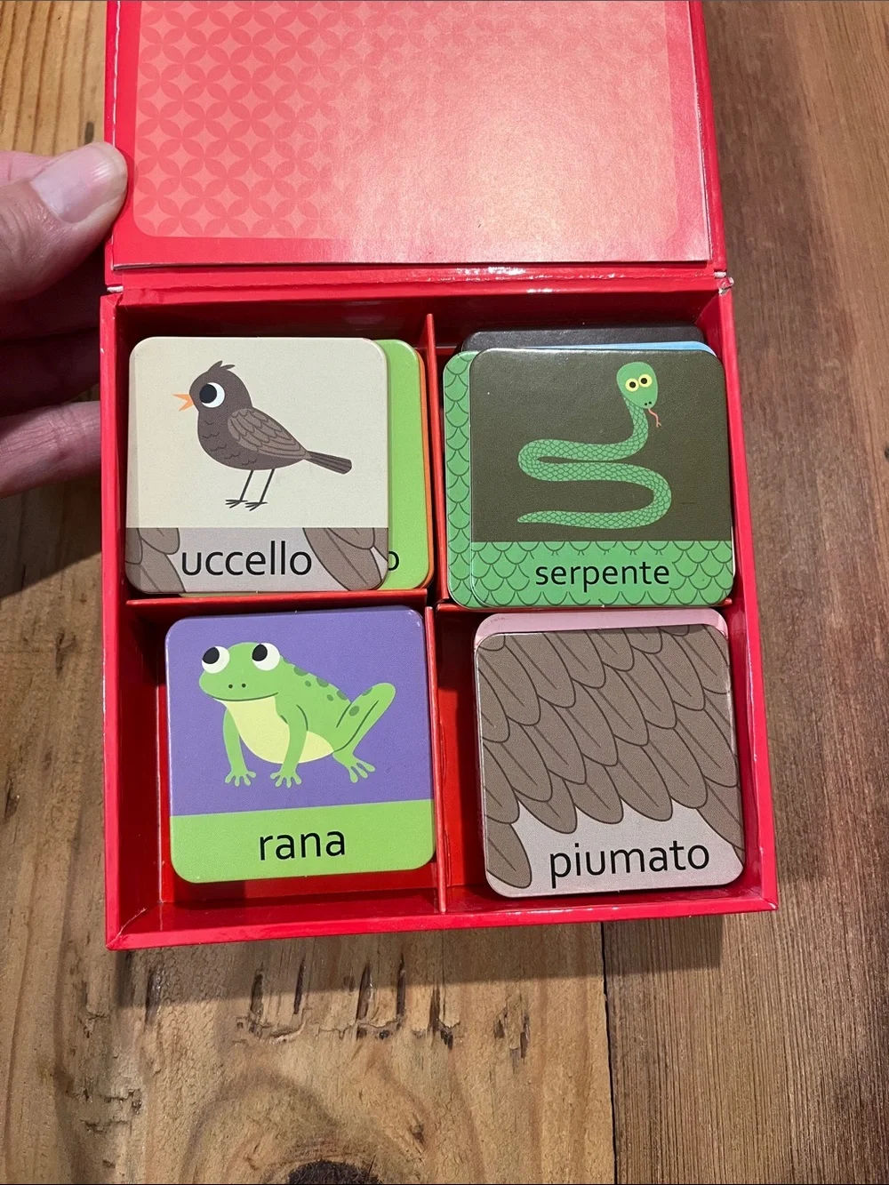 <Italian Language> Memory Card Game Colors & Animals 